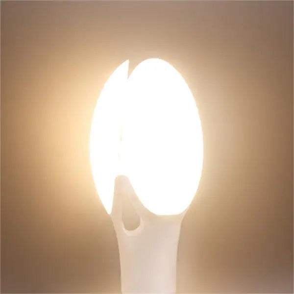 Super Bright 40W LED Edison Bulb E27